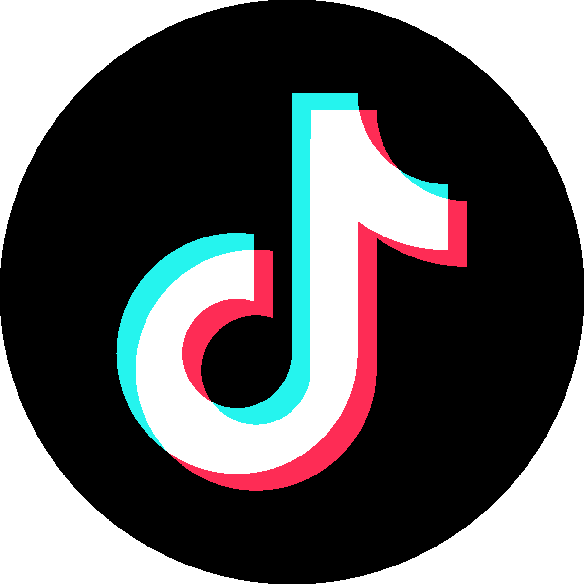 Official TikTok